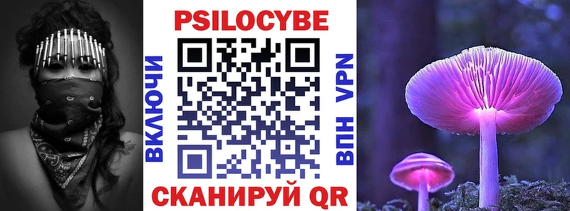 где можно купить наркотик  Советск  Псилоцибиновые грибы Magic Shrooms 