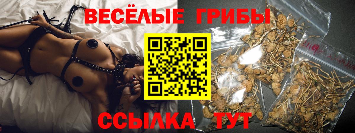 Псилоцибиновые грибы прущие грибы Советск