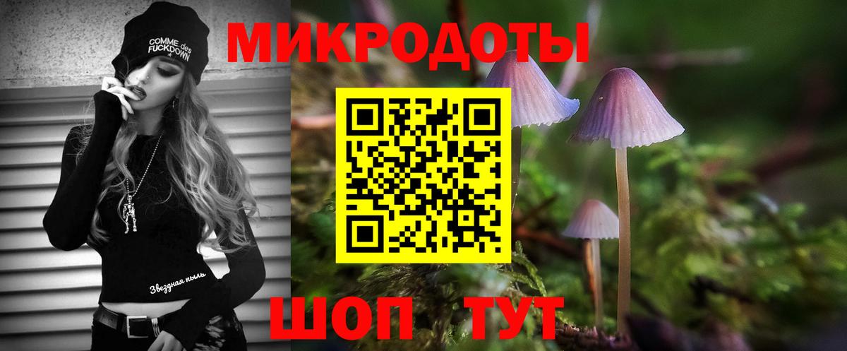купить   Галлюциногенные грибы Psilocybine cubensis  Вход с VPN  Советск 